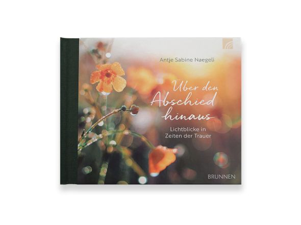 Über den Abschied hinaus Cover Ansicht 